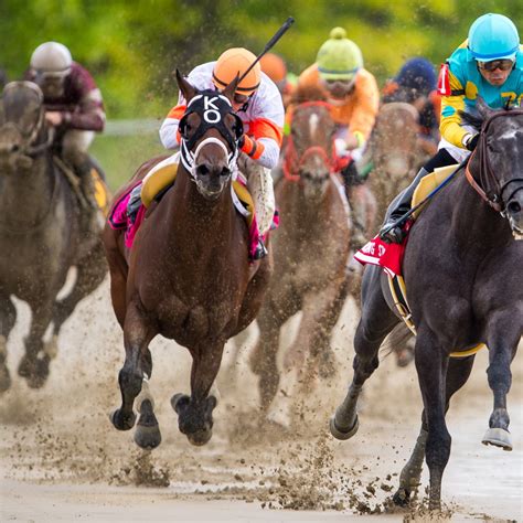 Grand National 2016: Winner, Payouts and Order of Finish.